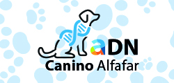 Canino Alfafar